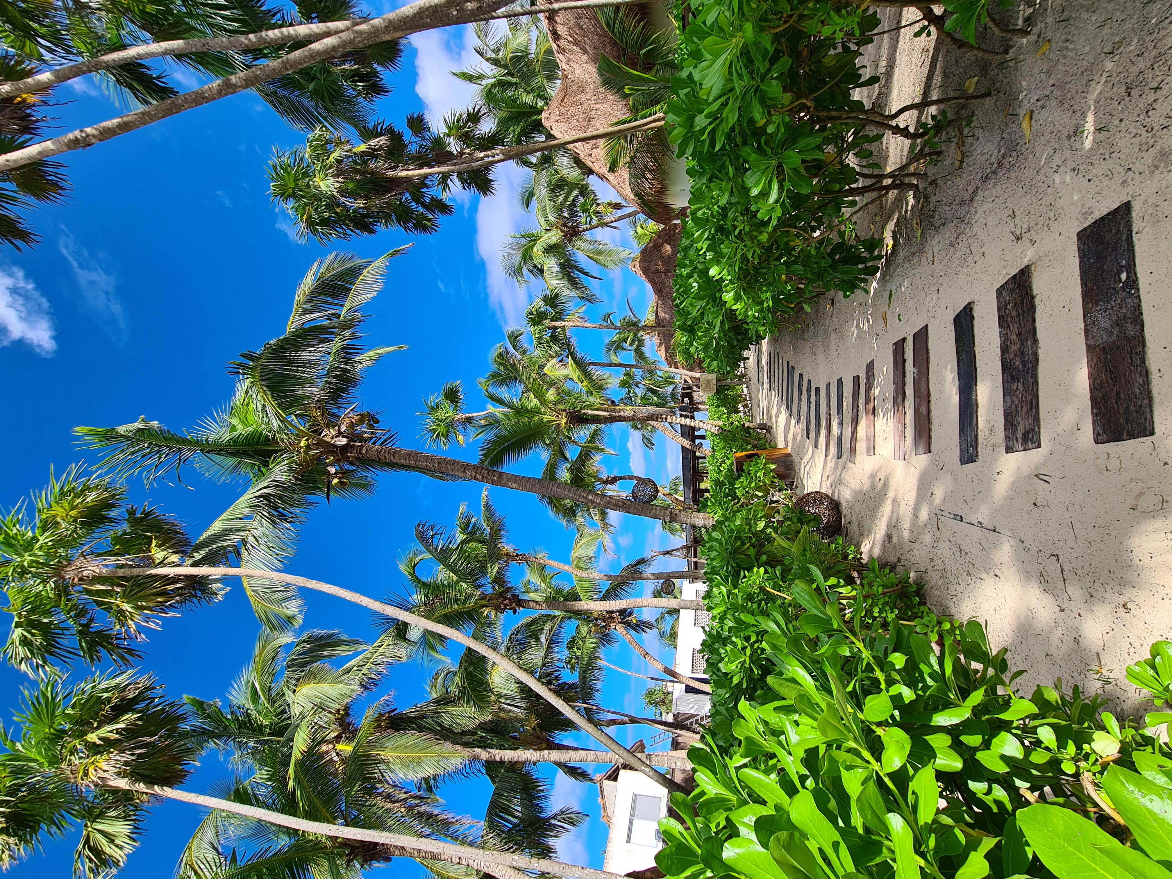 Los Amigos Beach Hotel Boutique Tulum Exterior photo