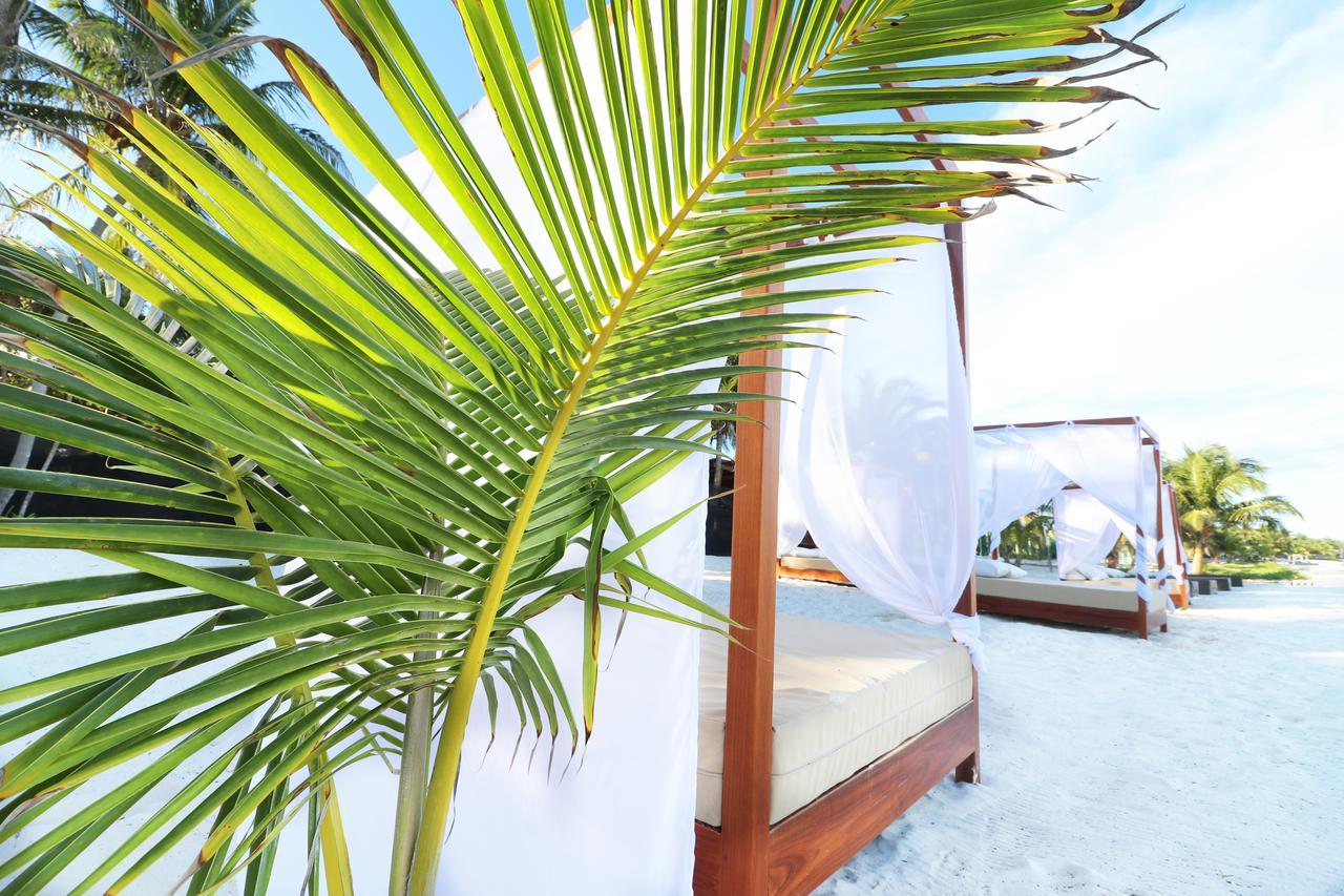 Los Amigos Beach Hotel Boutique Tulum Exterior photo